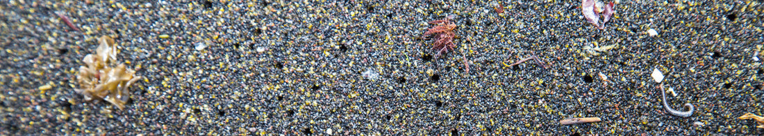 What are Microplastics? And 6 tips on how reduce to them