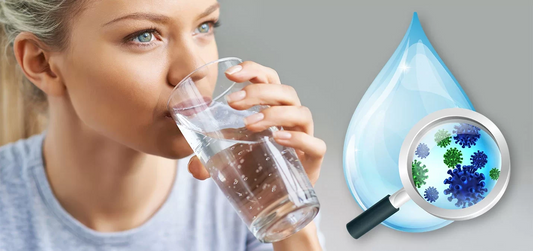 Best water filter to remove bacteria and pathogens