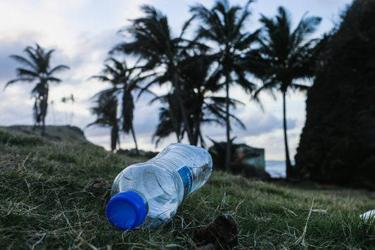 New Policy Proposal to Mandate Footprint Labeling on Products using Single-Use Plastics