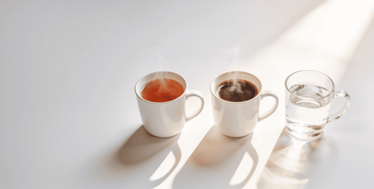 Reverse Osmosis vs Distilled Water: Differences and Which One to Choose