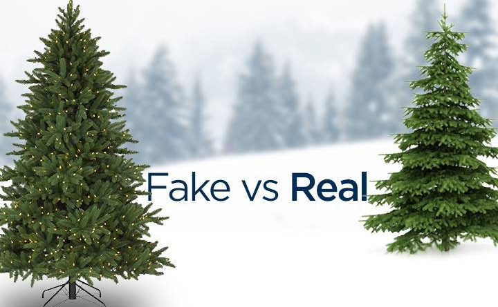 real or fake christmas tree - what is greener?